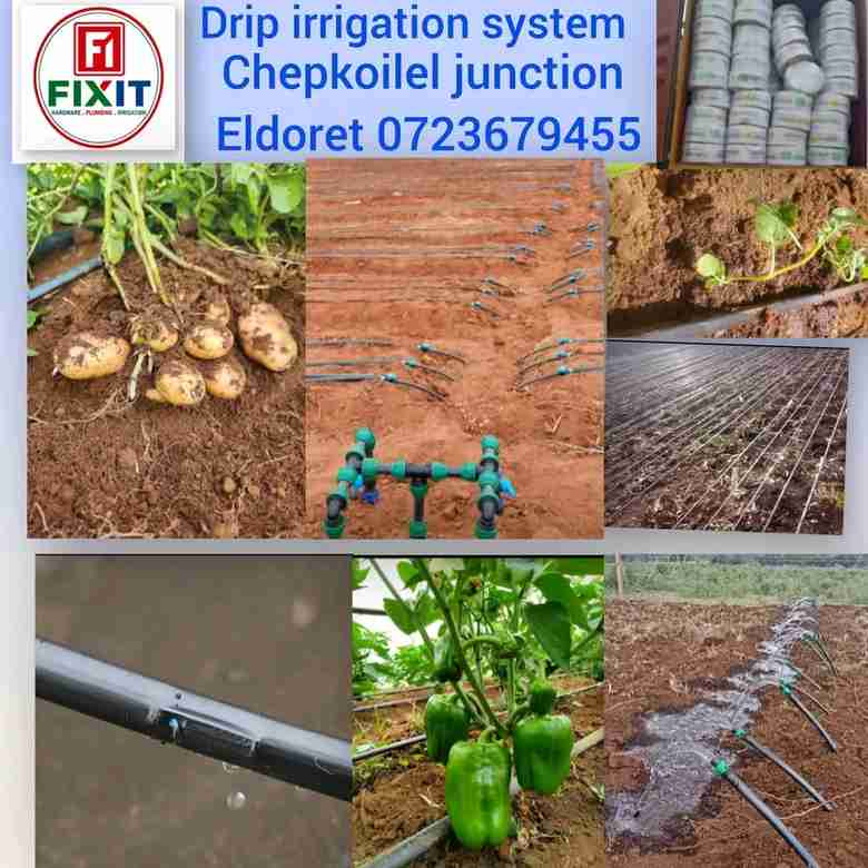 Drip Irrigation System Install in Nairobi — MILO Plumbing Solutions