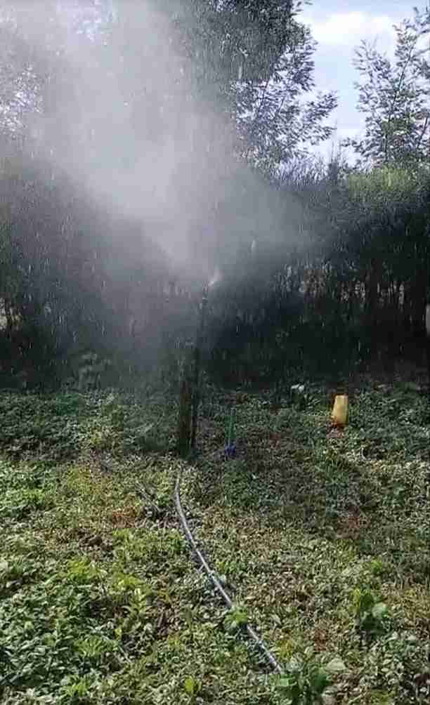 Sprinkler Misting — Garden Trees in Karen, Nairobi — MILO Plumbing Solutions